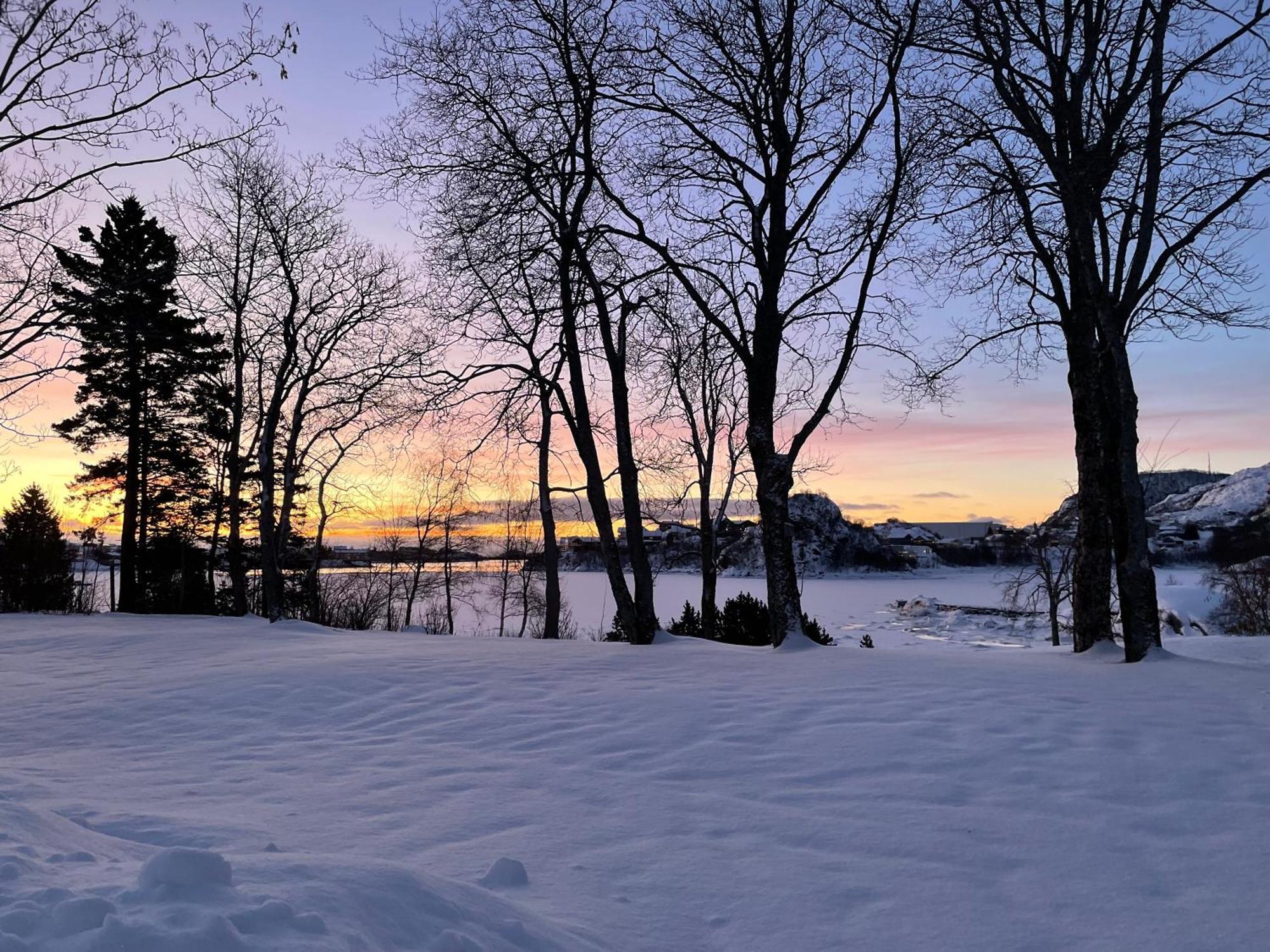 Apartment Svolvær Dış mekan fotoğraf